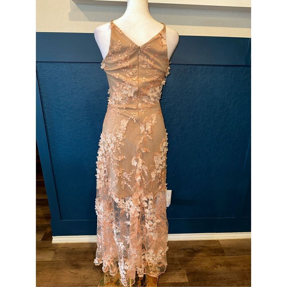 Dress the Population Floral Embroidered Maxi Dress in Blush - Picture 3 of 11